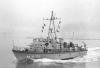 MSI-6