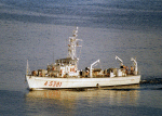 MSI-71
