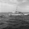 MSI-8