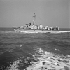 MSI-8