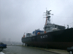 MSI-83