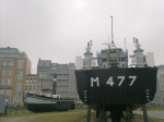MSI-83