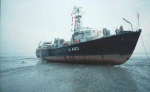 MSI-95