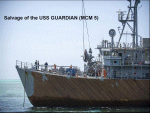 Guardian
