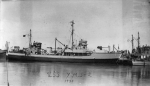 YMS-2