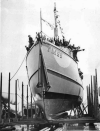 YMS-5