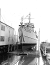YMS-6