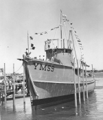 YMS-9