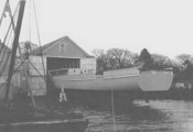 YMS-19