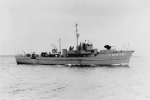 YMS-19