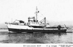 YMS-20