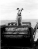 YMS-35