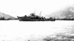 YMS-49