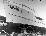YMS-81