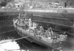 YMS-81