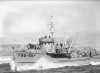 YMS-88