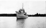 YMS-100