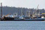 YMS-111