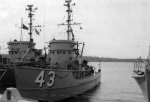YMS-113