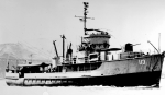 YMS-113