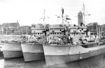 YMS-155