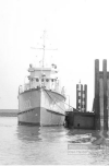 YMS-155