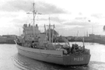 YMS-156