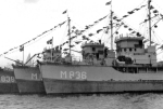 YMS-156