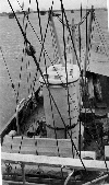 YMS-196