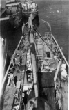 BYMS-11