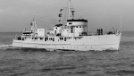 BYMS-11