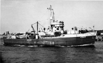 BYMS-29