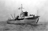 BYMS-31