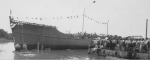 BYMS-31