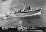 BYMS-31