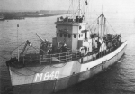 BYMS-48