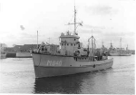 BYMS-48
