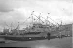BYMS-2050