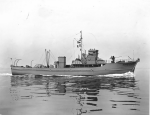 YMS-207