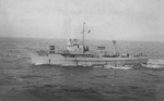 BYMS-2079
