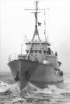 BYMS-2213