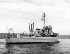 YMS-215