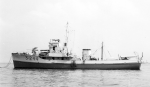 YMS-244