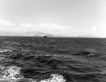 YMS-271