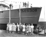 YMS-308
