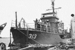 YMS-313