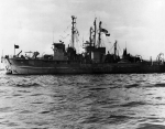 YMS-325