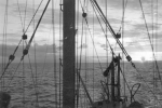 YMS-327