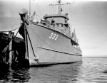 YMS-333