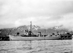 YMS-333
